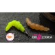 Larva 